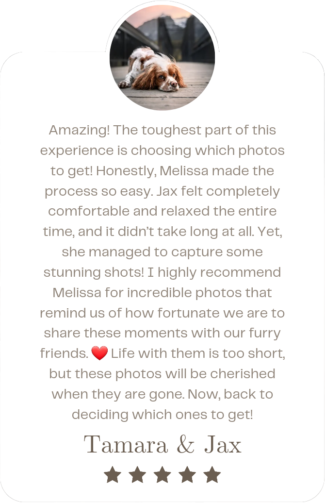 Jax Review